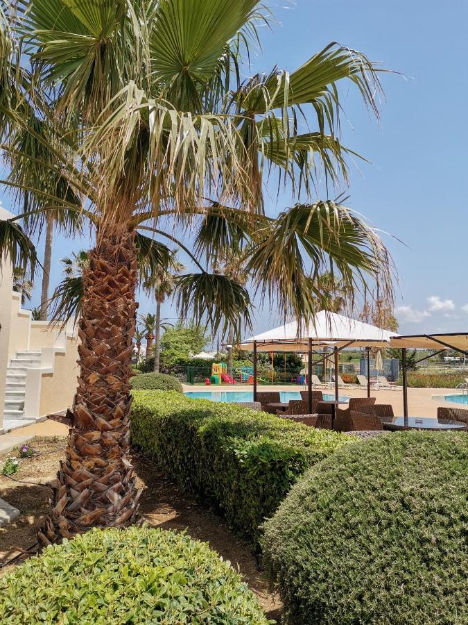 Sweety Club Solimar Emerald Rethymno  Exterior photo